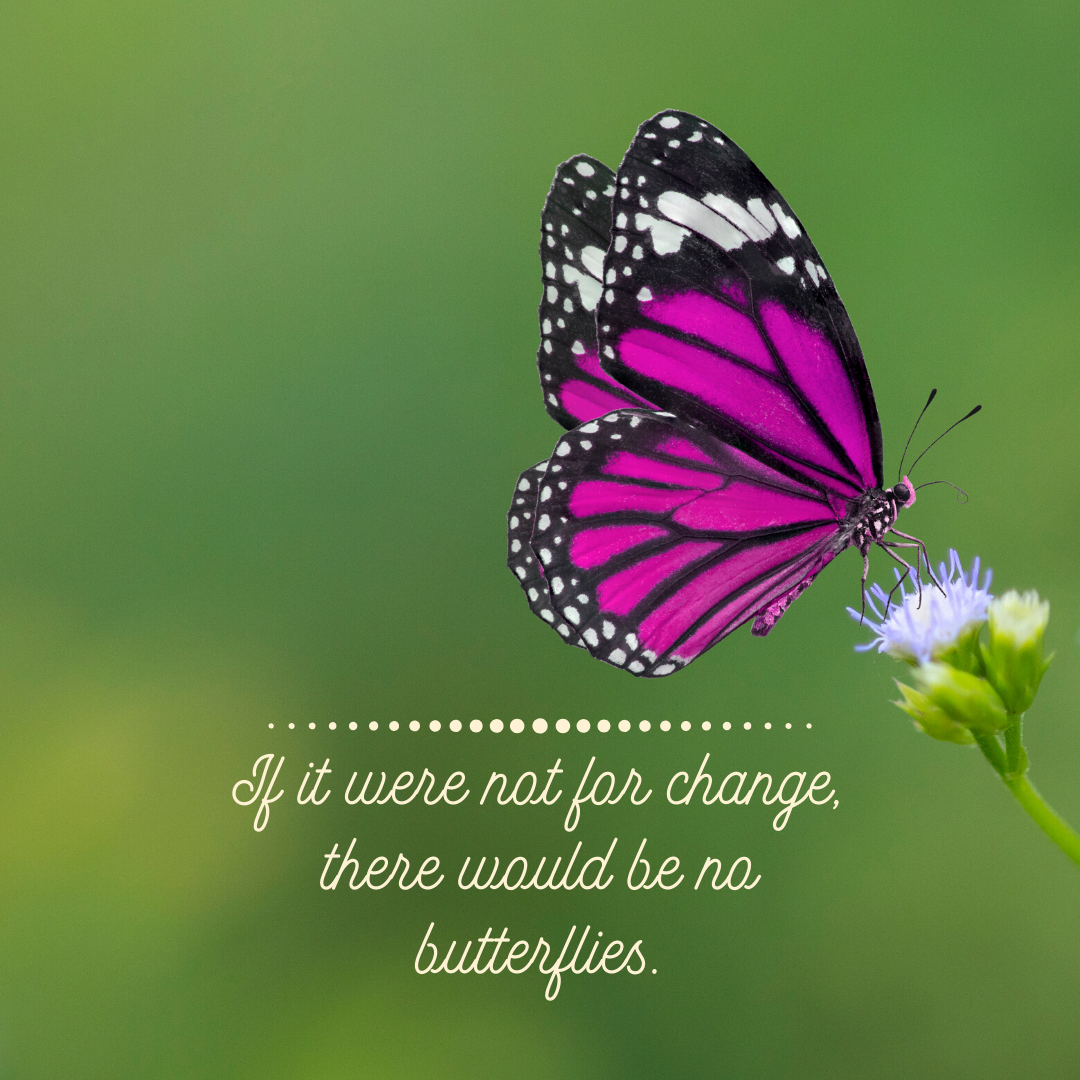 butterflies change